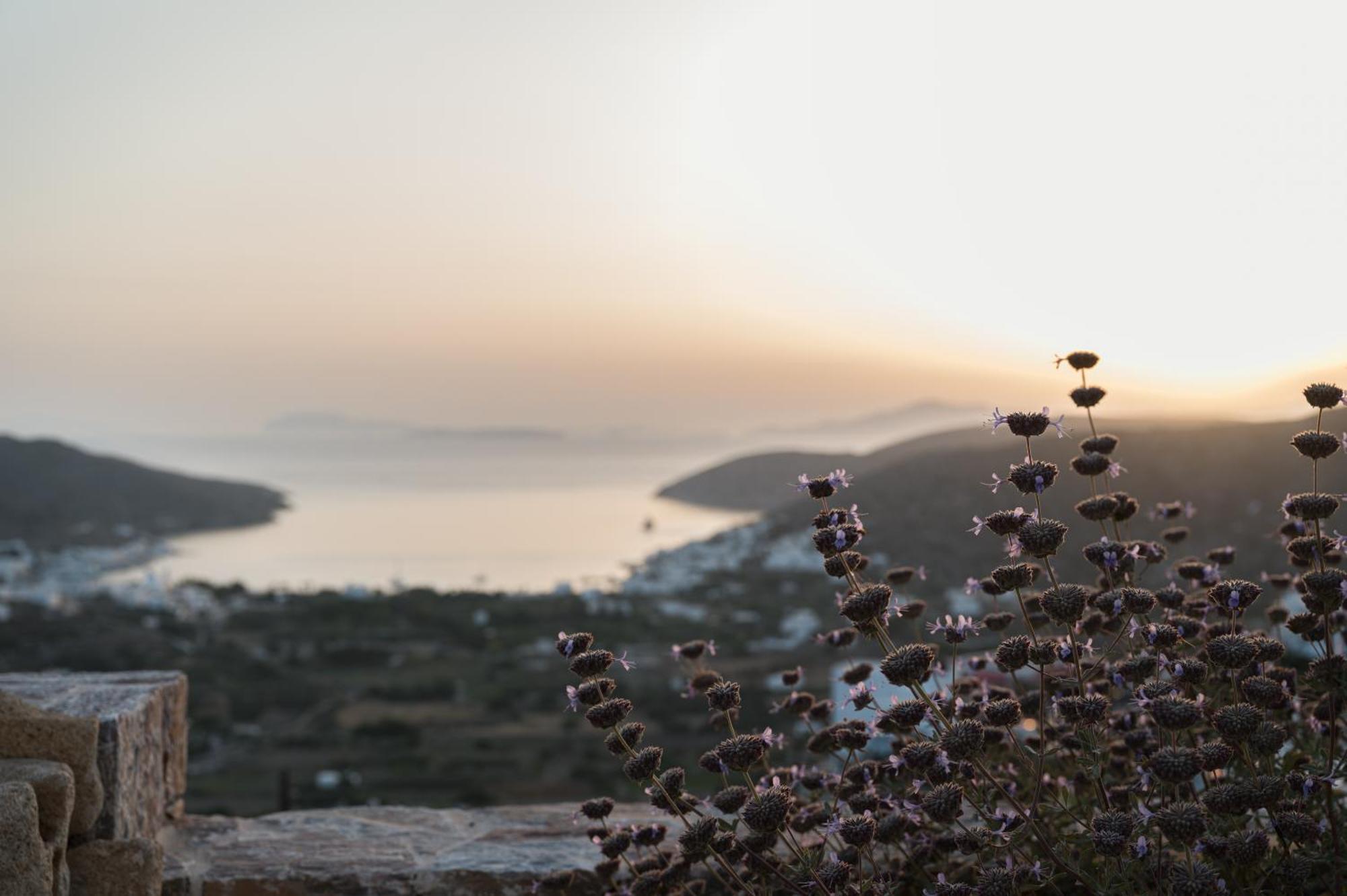 Castello Amorgos Suites Katapola Exterior photo
